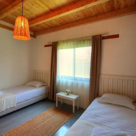 Lierre * Fethiye